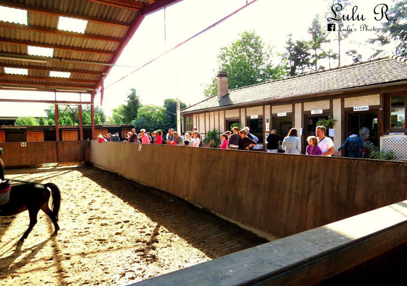 Ecole Equestre Scheidstein Illkirch-Graffenstaden Bas-Rhin animations variées toute l'année