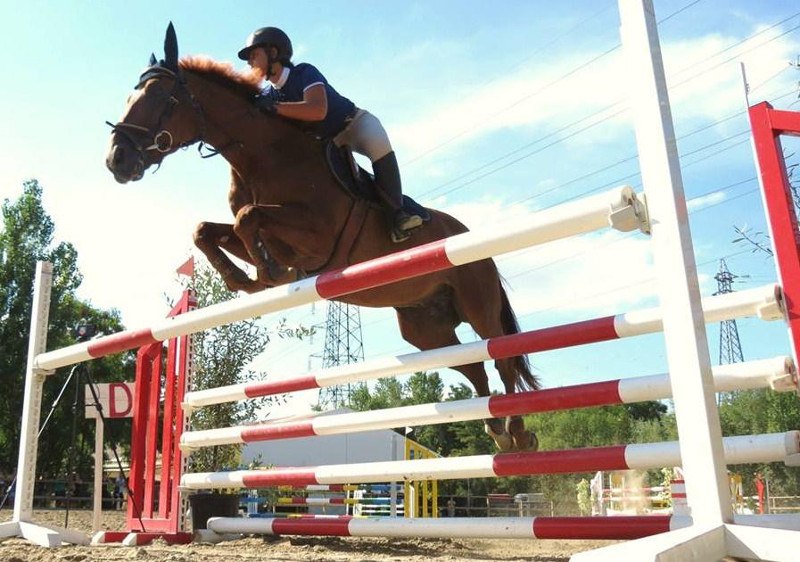 Ecole Equestre Scheidstein Illkirch-Graffenstaden Bas-Rhin Saut d'obstacles