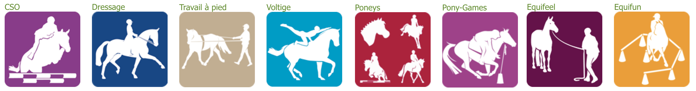 Disciplines pratiquées à l'Ecole Equestre du Scheidstein Illkirch-Graffenstaden Bas-Rhin