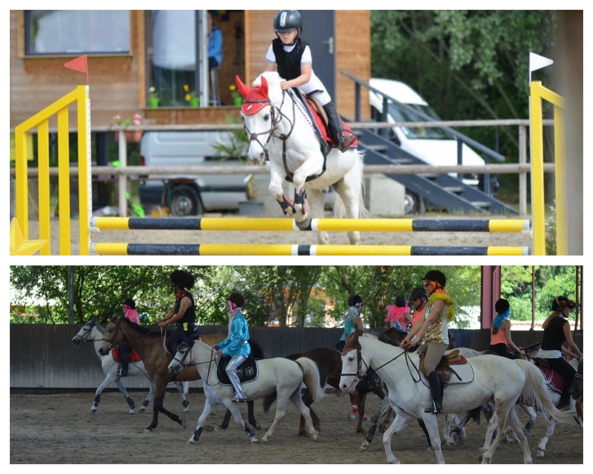 concours club trophée saut obstacles 1 novembre 2017 Bischwiller école équestre scheidstein STRASBOURG ILLKIRCH ESCHAU PLOBSHEIM