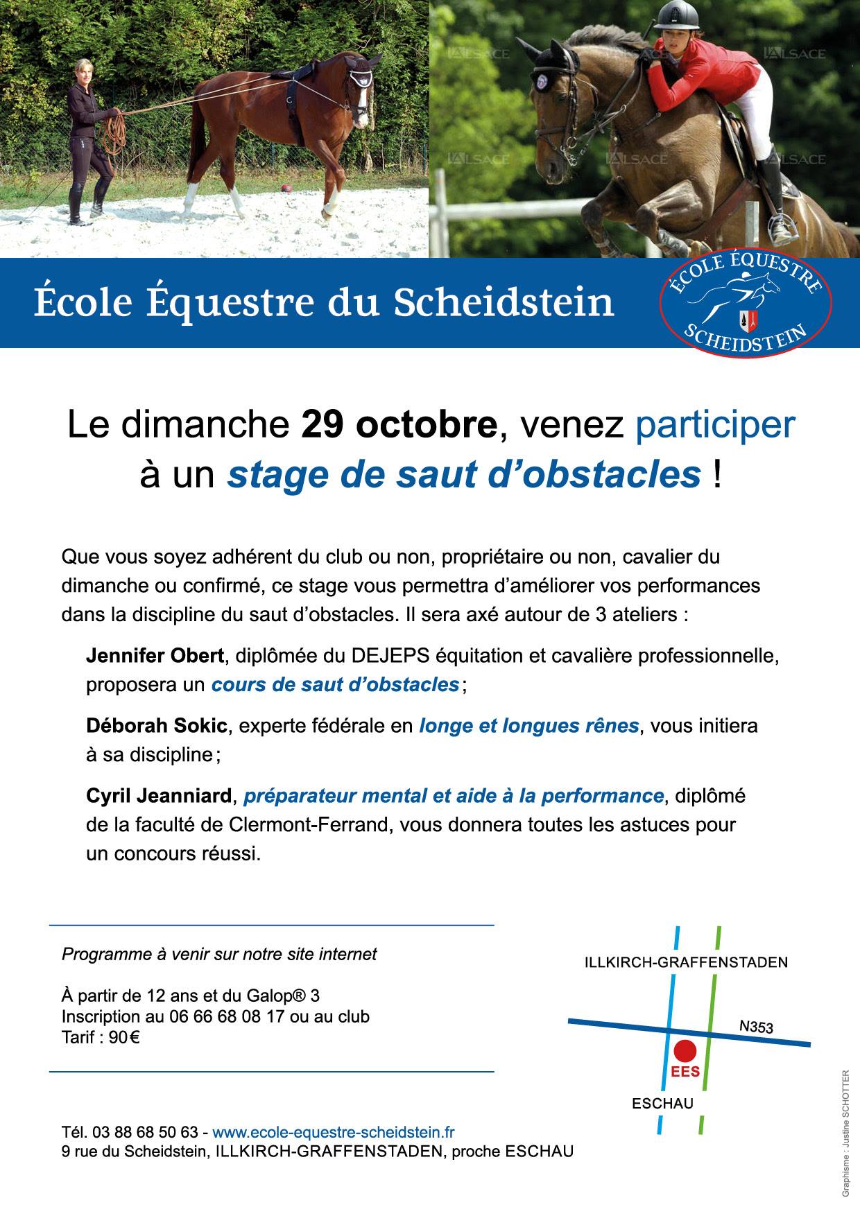 stage atelier 29 octobre 2017 école équestre scheidstein STRASBOURG ILLKIRCH ESCHAU PLOBSHEIM