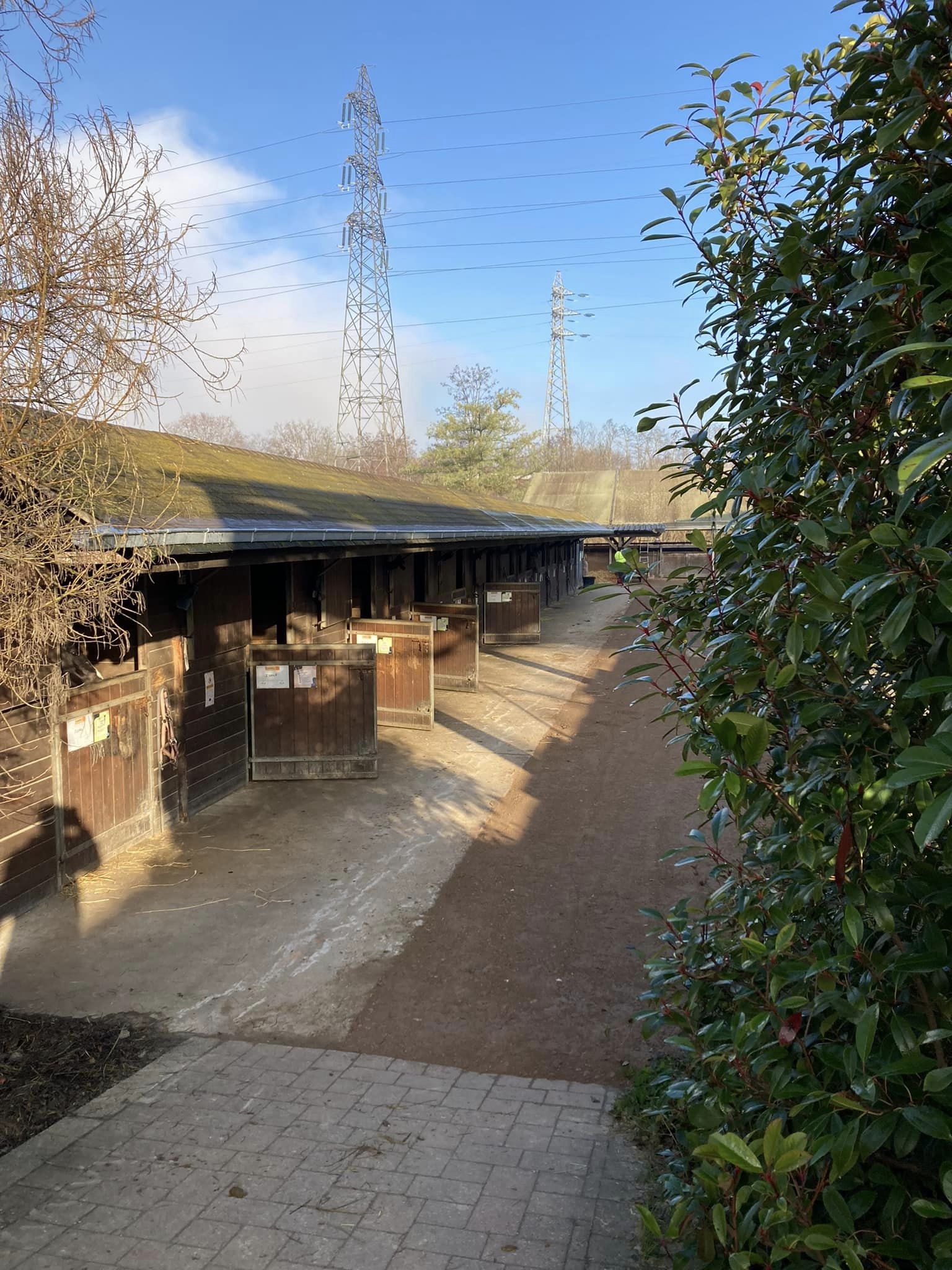 Installations cheval poney enfants ados adolescents adultes école équestre scheidstein centre équestre club STRASBOURG ILLKIRCH ESCHAU PLOBSHEIM GEISPOLSHEIM LINGOLSHEIM