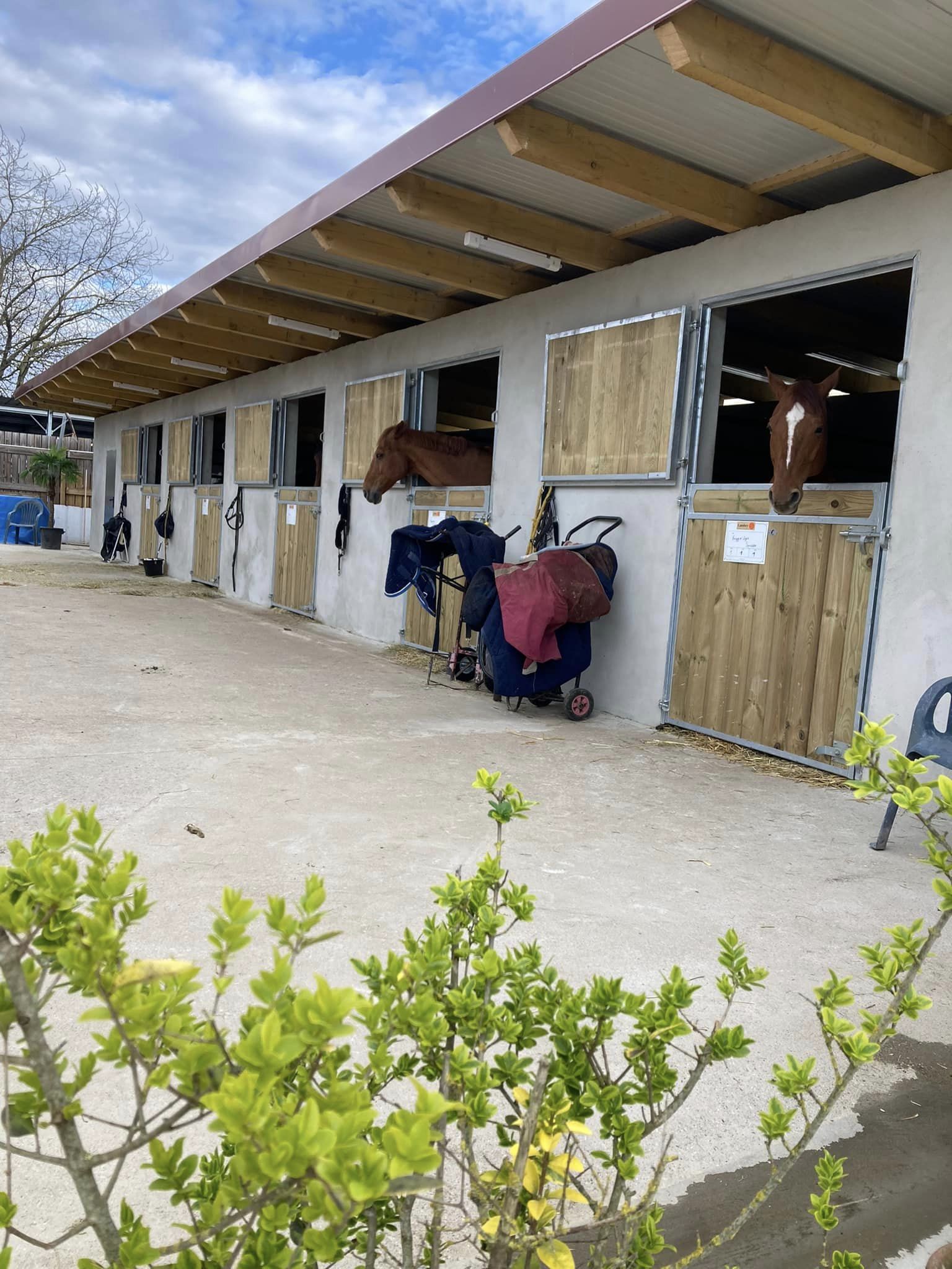 Installations cheval poney enfants ados adolescents adultes école équestre scheidstein centre équestre club STRASBOURG ILLKIRCH ESCHAU PLOBSHEIM GEISPOLSHEIM LINGOLSHEIM