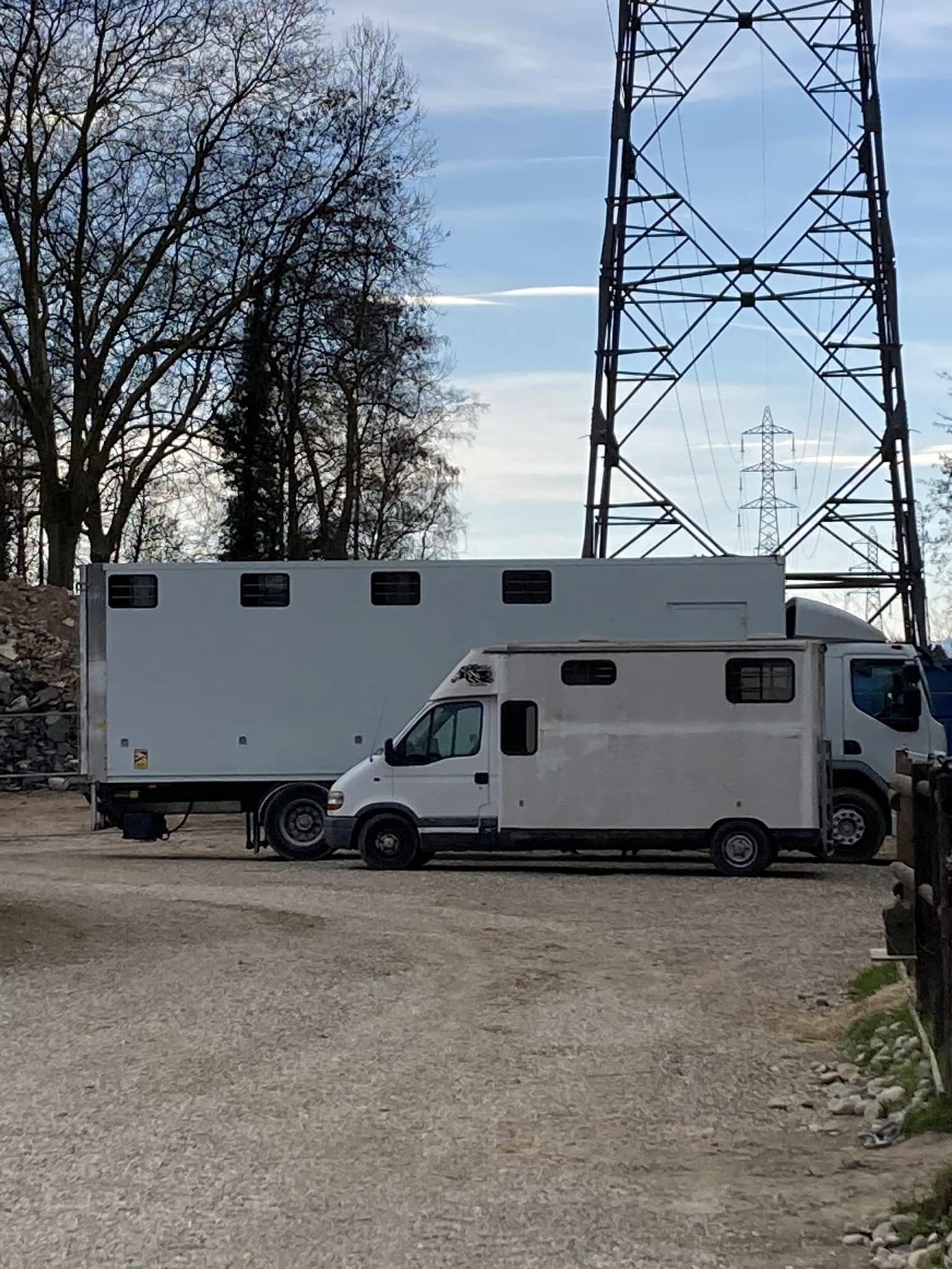 Installations cheval poney enfants ados adolescents adultes école équestre scheidstein centre équestre club STRASBOURG ILLKIRCH ESCHAU PLOBSHEIM GEISPOLSHEIM LINGOLSHEIM