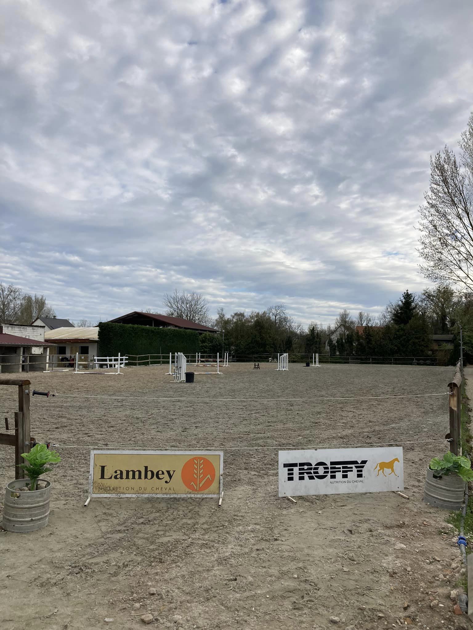 Installations cheval poney enfants ados adolescents adultes école équestre scheidstein centre équestre club STRASBOURG ILLKIRCH ESCHAU PLOBSHEIM GEISPOLSHEIM LINGOLSHEIM