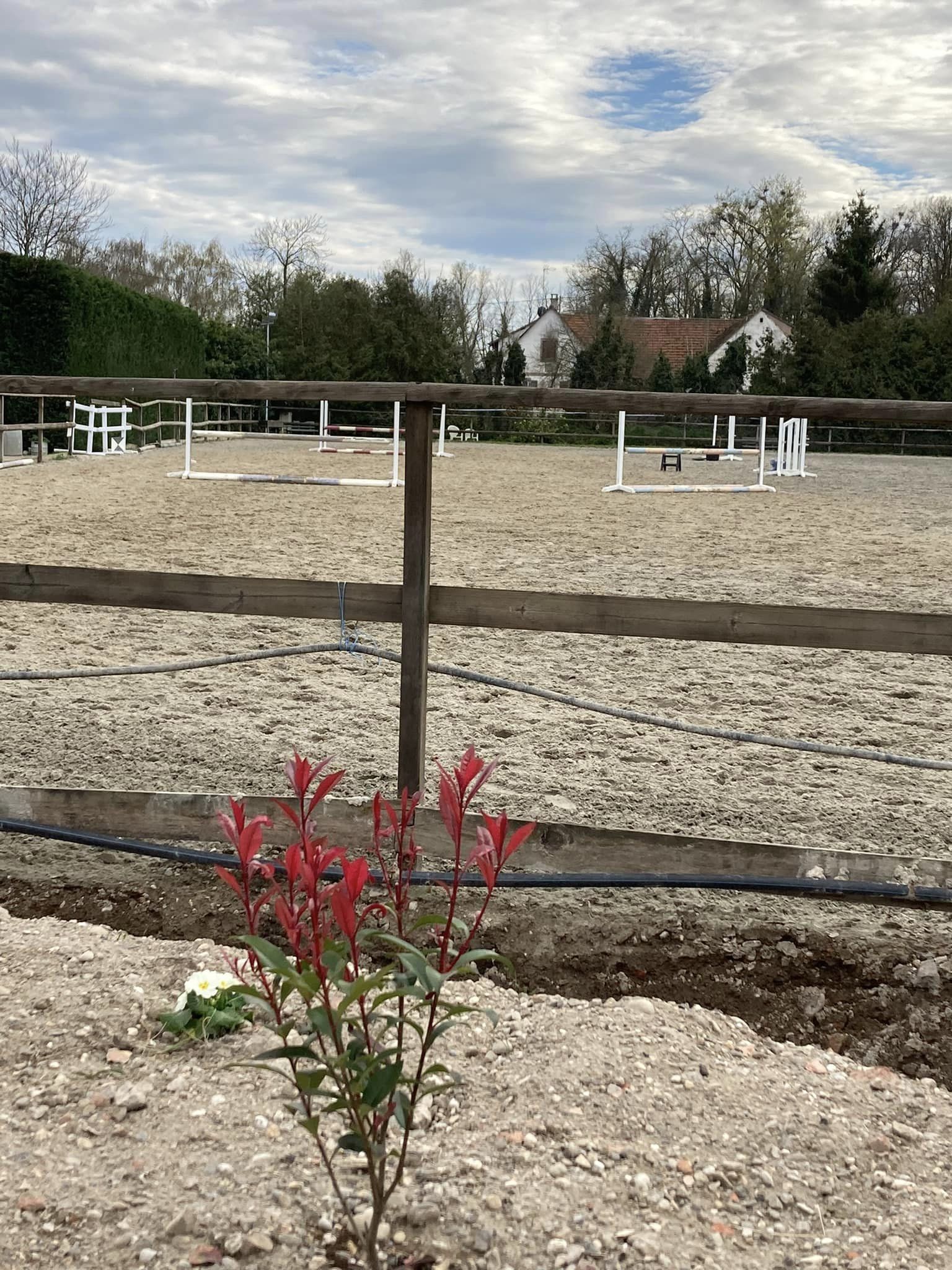 Installations cheval poney enfants ados adolescents adultes école équestre scheidstein centre équestre club STRASBOURG ILLKIRCH ESCHAU PLOBSHEIM GEISPOLSHEIM LINGOLSHEIM