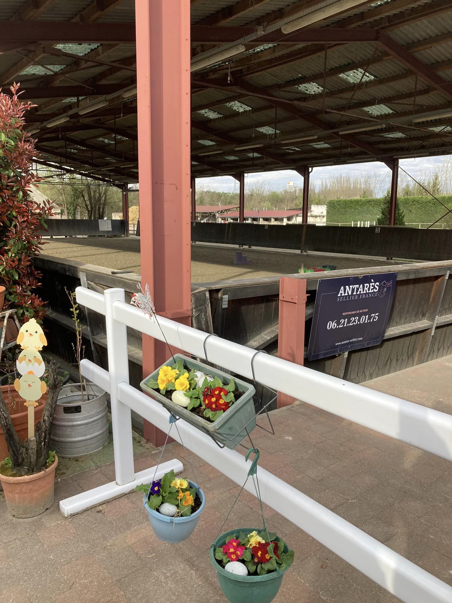 Installations cheval poney enfants ados adolescents adultes école équestre scheidstein centre équestre club STRASBOURG ILLKIRCH ESCHAU PLOBSHEIM GEISPOLSHEIM LINGOLSHEIM