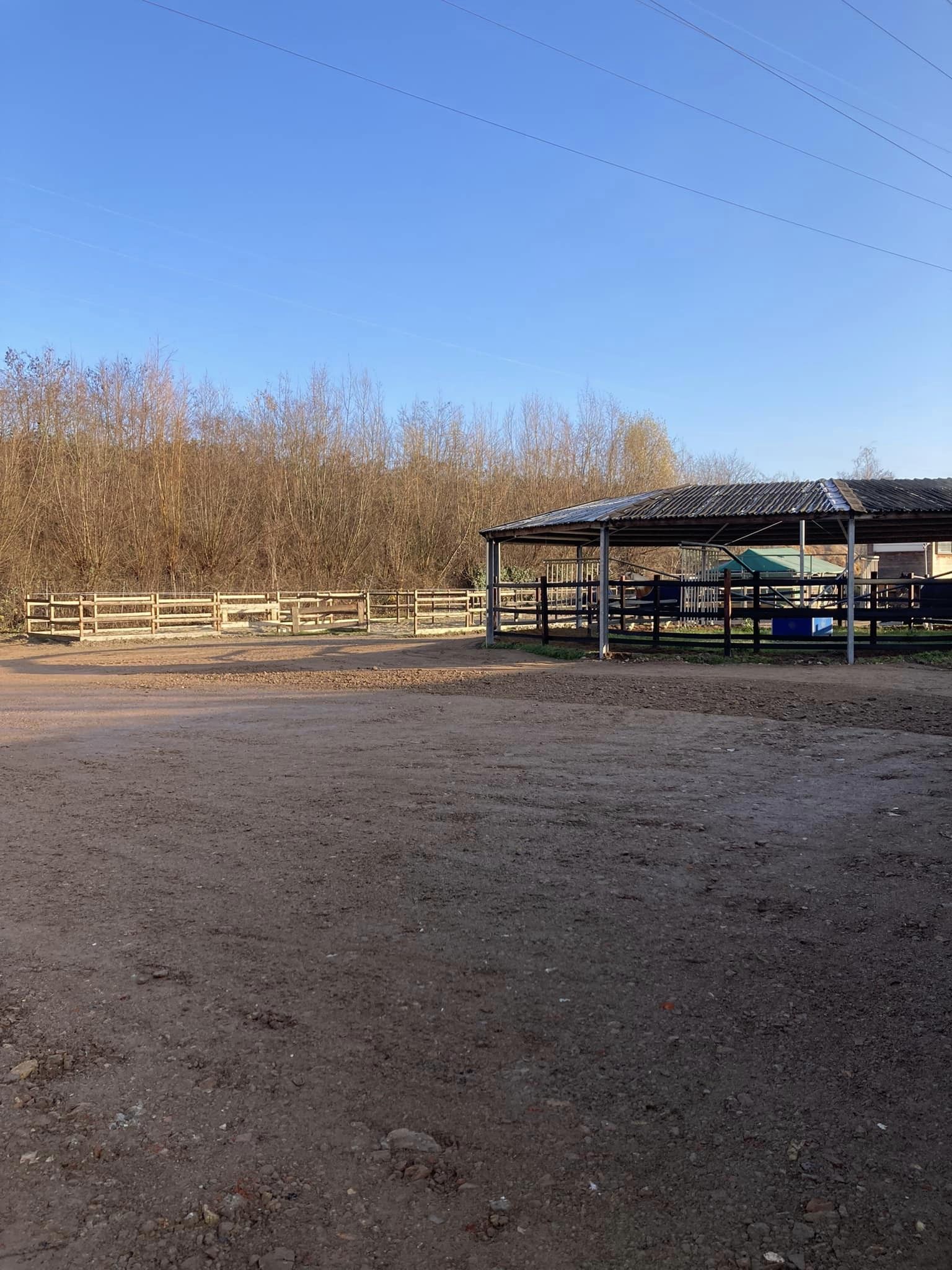 Installations cheval poney enfants ados adolescents adultes école équestre scheidstein centre équestre club STRASBOURG ILLKIRCH ESCHAU PLOBSHEIM GEISPOLSHEIM LINGOLSHEIM