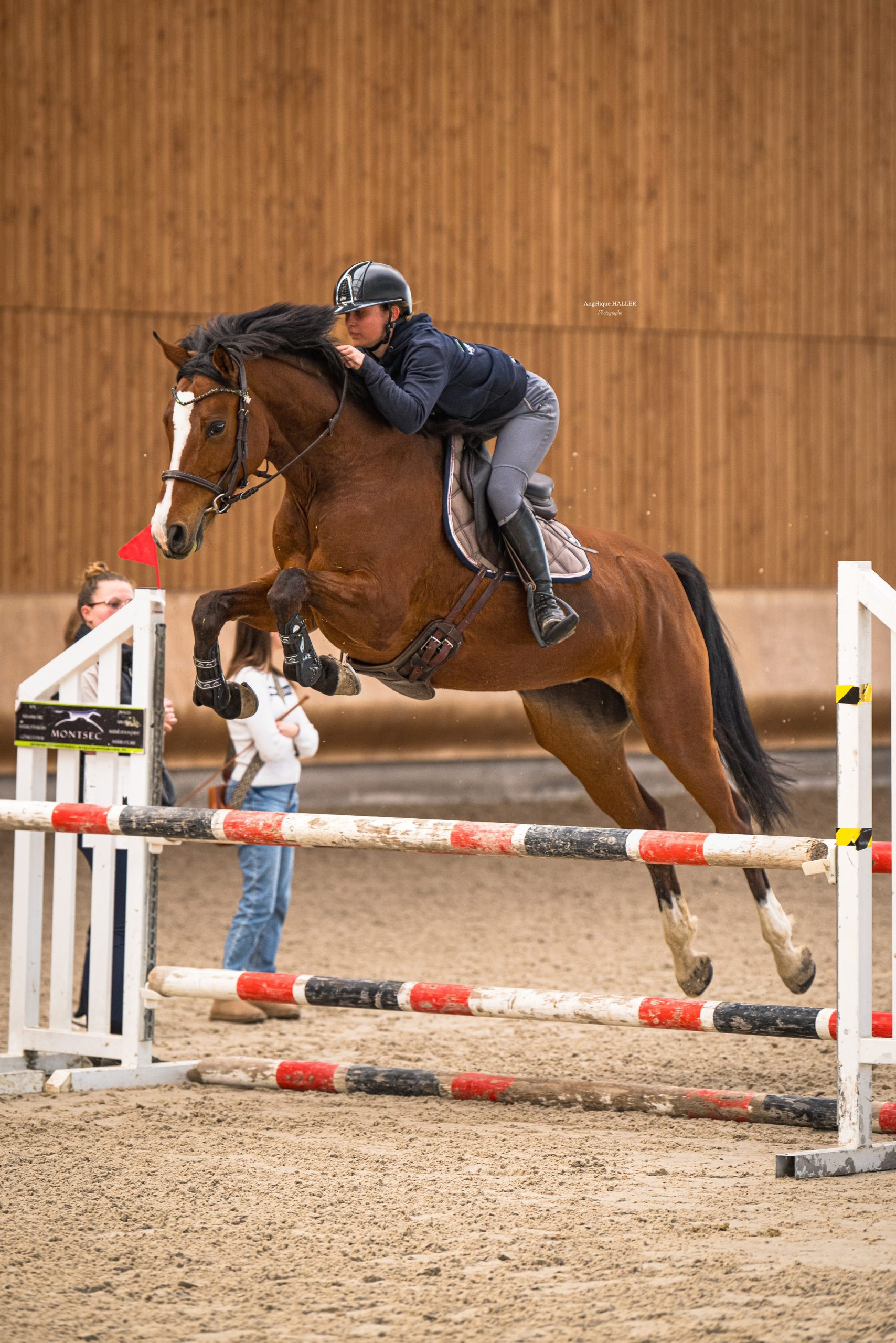 Enseignante Monitrice Inès Linck cheval poney enfants ados adolescents adultes école équestre scheidstein centre équestre club STRASBOURG ILLKIRCH ESCHAU PLOBSHEIM GEISPOLSHEIM LINGOLSHEIM