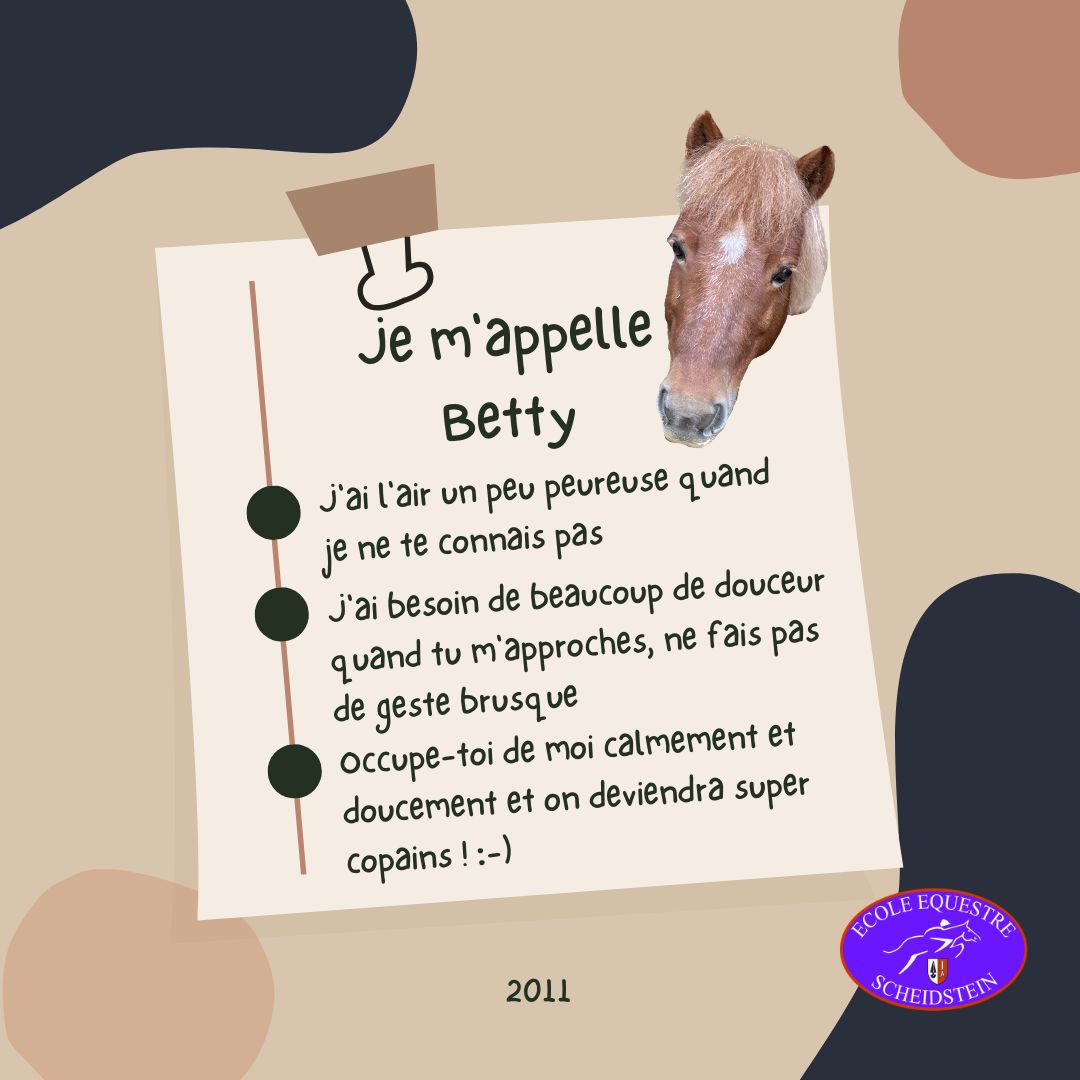 Betty cavalerie cheval poney enfants ados adolescents adultes école équestre scheidstein centre équestre club STRASBOURG ILLKIRCH ESCHAU PLOBSHEIM GEISPOLSHEIM LINGOLSHEIM