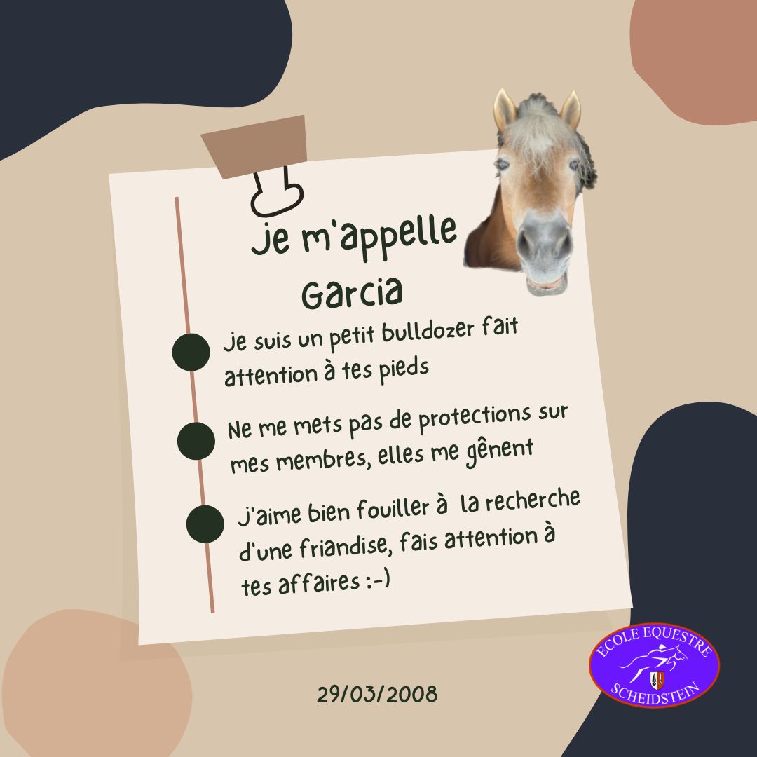 Garcia cavalerie cheval poney enfants ados adolescents adultes école équestre scheidstein centre équestre club STRASBOURG ILLKIRCH ESCHAU PLOBSHEIM GEISPOLSHEIM LINGOLSHEIM