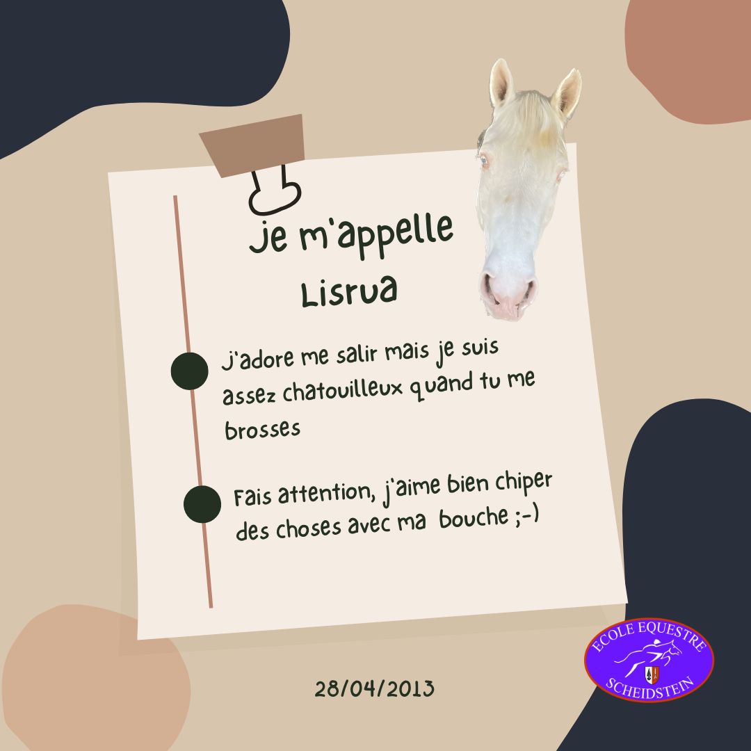 Lisrua cavalerie cheval poney enfants ados adolescents adultes école équestre scheidstein centre équestre club STRASBOURG ILLKIRCH ESCHAU PLOBSHEIM GEISPOLSHEIM LINGOLSHEIM