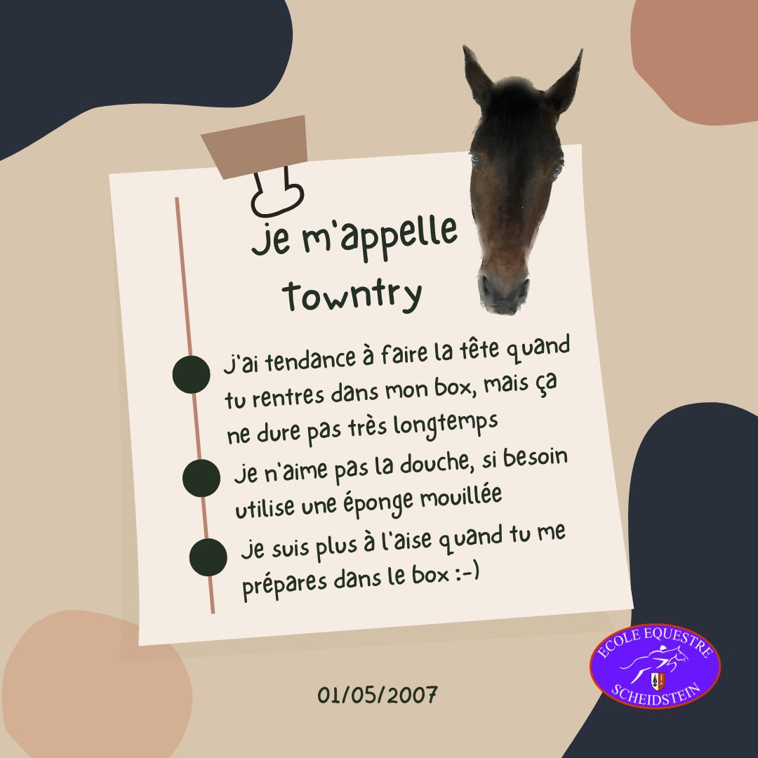 Towntry cavalerie cheval poney enfants ados adolescents adultes école équestre scheidstein centre équestre club STRASBOURG ILLKIRCH ESCHAU PLOBSHEIM GEISPOLSHEIM LINGOLSHEIM