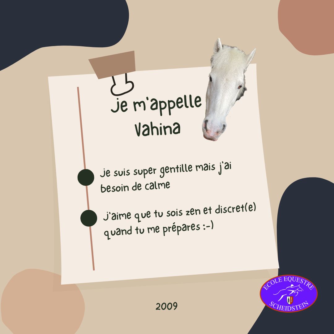 Vahina cavalerie cheval poney enfants ados adolescents adultes école équestre scheidstein centre équestre club STRASBOURG ILLKIRCH ESCHAU PLOBSHEIM GEISPOLSHEIM LINGOLSHEIM