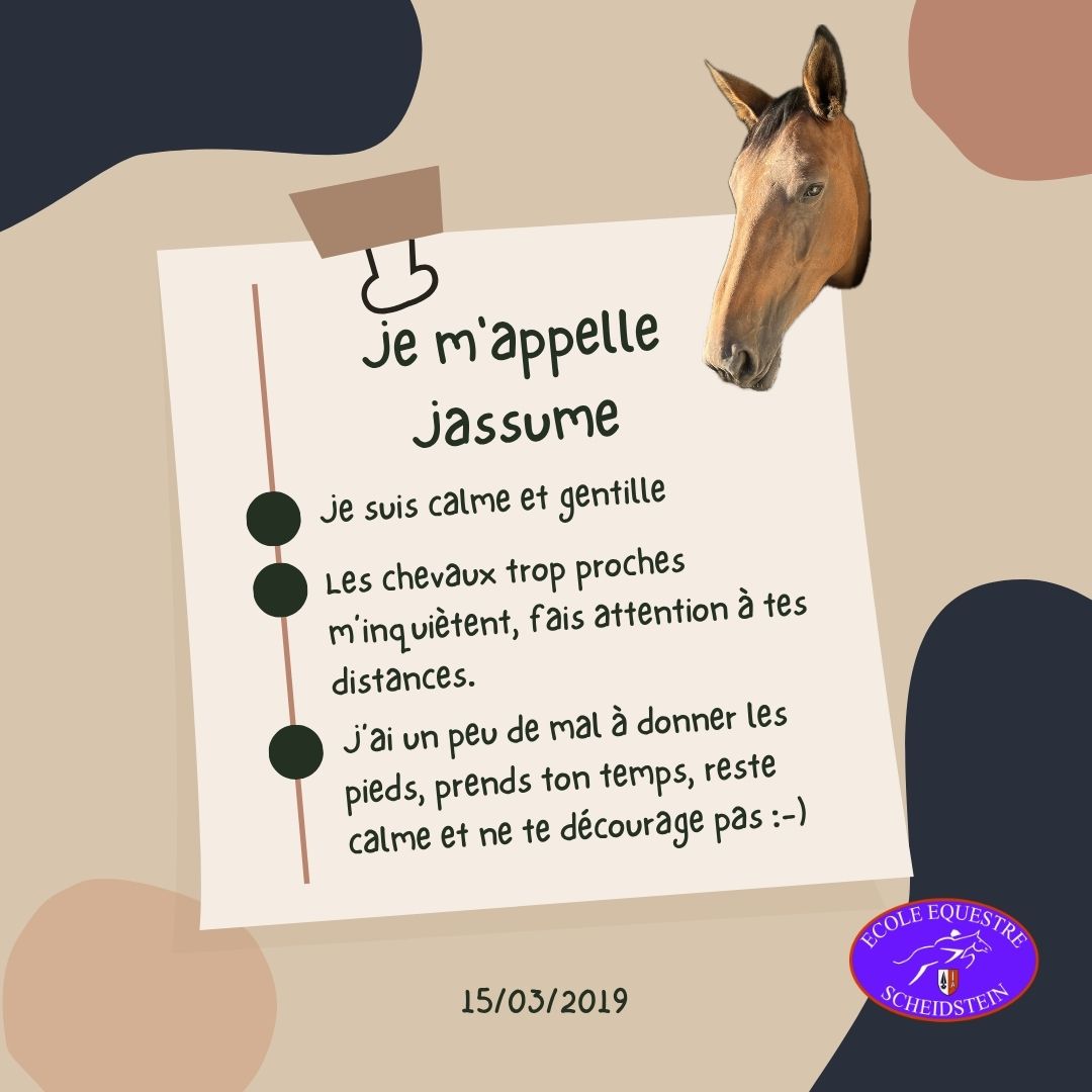 Jassume cavalerie cheval poney enfants ados adolescents adultes école équestre scheidstein centre équestre club STRASBOURG ILLKIRCH ESCHAU PLOBSHEIM GEISPOLSHEIM LINGOLSHEIM