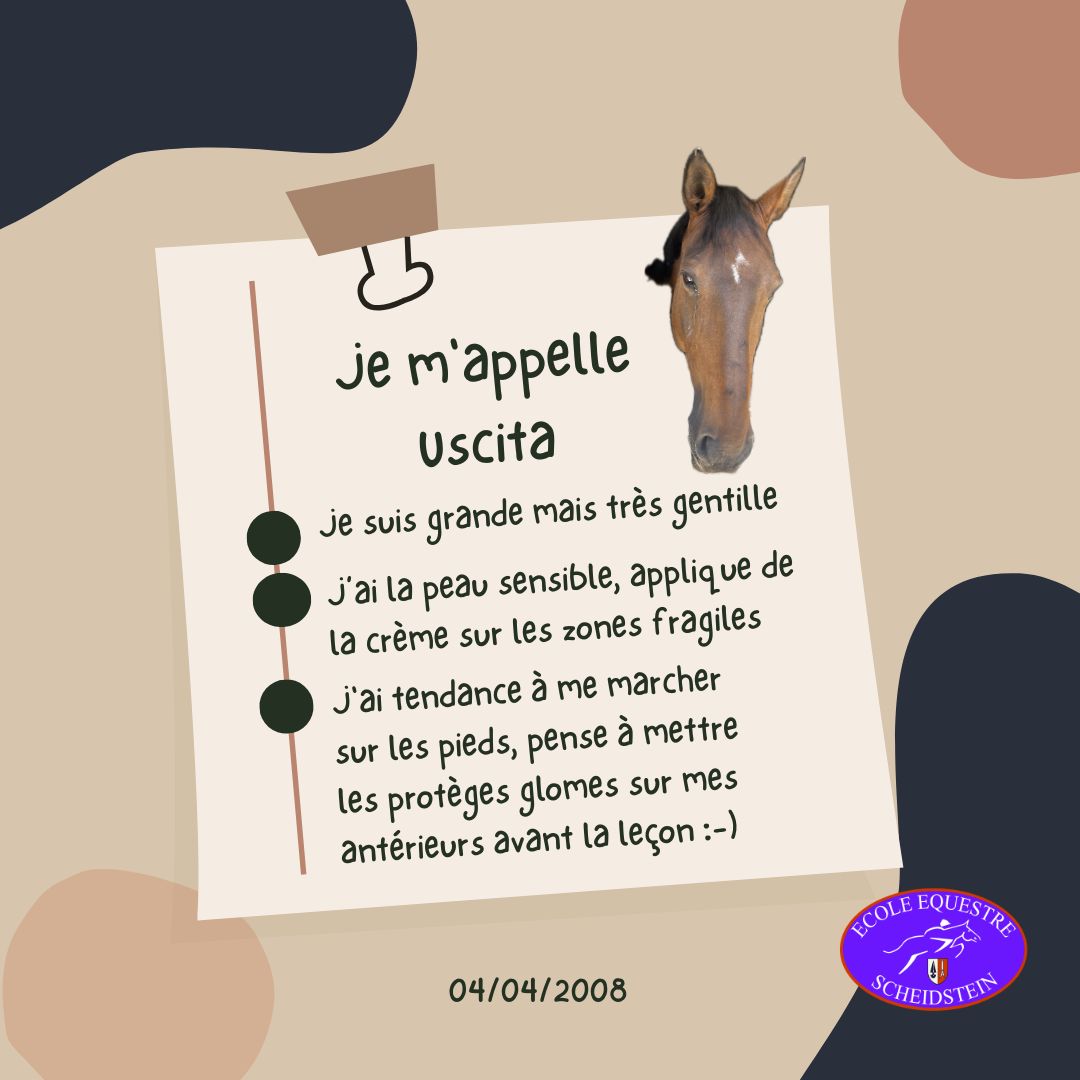 Uscita cavalerie cheval poney enfants ados adolescents adultes école équestre scheidstein centre équestre club STRASBOURG ILLKIRCH ESCHAU PLOBSHEIM GEISPOLSHEIM LINGOLSHEIM