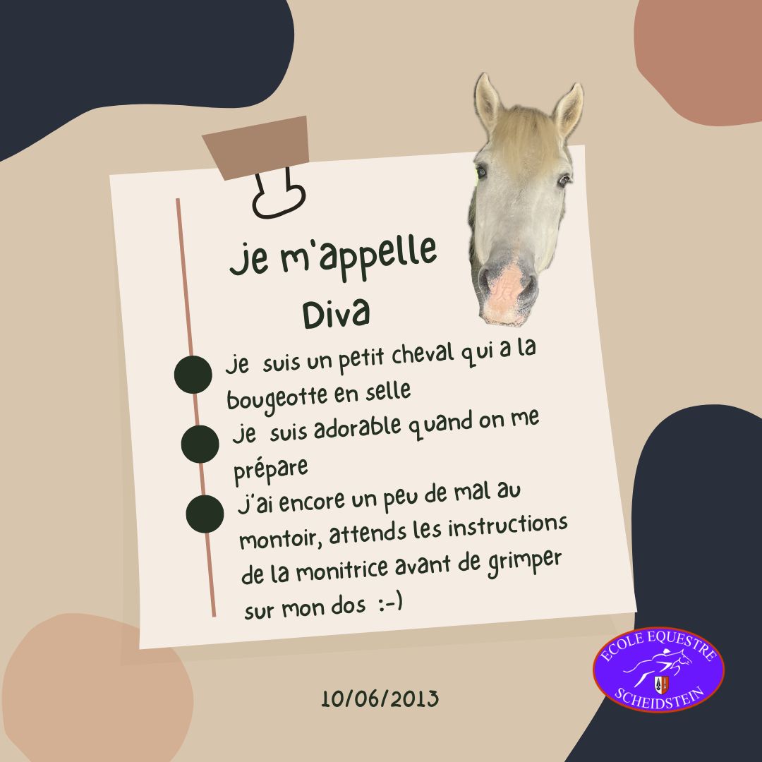 Diva cavalerie cheval poney enfants ados adolescents adultes école équestre scheidstein centre équestre club STRASBOURG ILLKIRCH ESCHAU PLOBSHEIM GEISPOLSHEIM LINGOLSHEIM